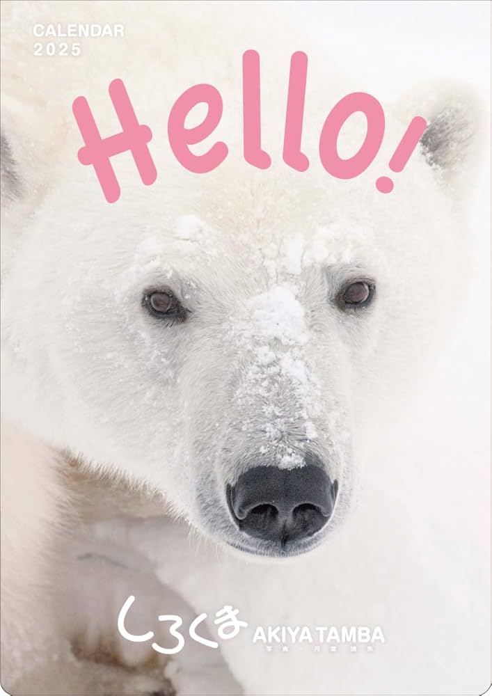 Amazon | 「しろくま」 丹葉暁弥 2025年<壁掛け>カレンダー Amazon | 「しろくま」 丹葉暁弥 2025年<壁掛け>カレンダー